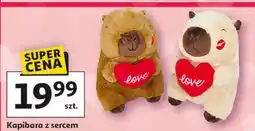 Auchan Kapibara z sercem oferta