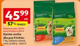 Auchan Karma dla psa active Purina Friskies oferta