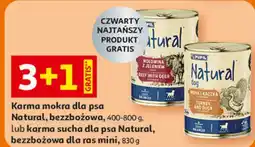 Auchan Karma dla psa wołowina z jeleniem Pupil Natural oferta
