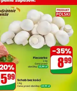 Dino Pieczarka oferta