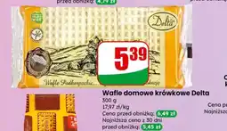 Dino Wafle domowe krówkowe Delta oferta