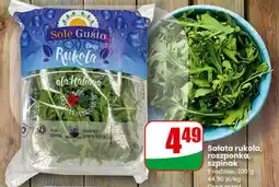 Dino Sałata rukola, roszponka, szpinak (3 rodzaje) oferta