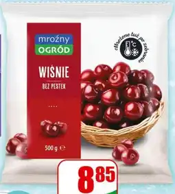 Dino Wiśnie bez pestek Mrożny Ogród oferta