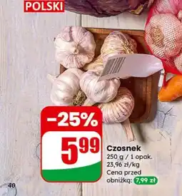Dino Czosnek oferta