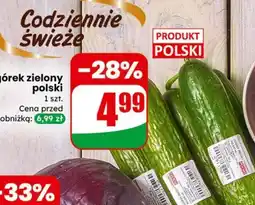 Dino Ogórek zielony polski oferta