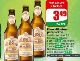Dino Piwo Miłosław pszeniczne oferta