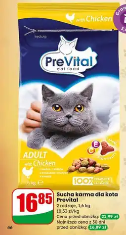 Dino Sucha karma dla kota Prevital oferta