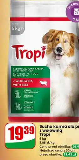 Dino Sucha karma dla psa z wołowiną Tropi oferta