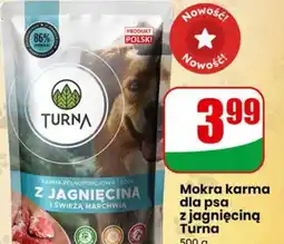 Dino Mokra karma dla psa z jagnięciną Turna oferta