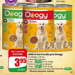 Dino Mokra karma dla psa Doogy (z drobiem lub z wołowiną) oferta