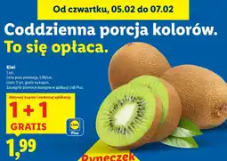 Lidl Kiwi oferta