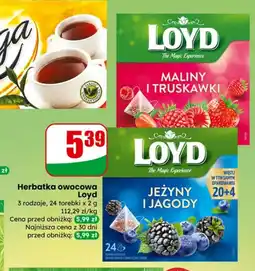 Dino Herbata owocowa Loyd oferta