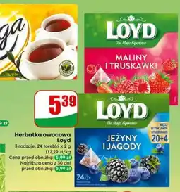 Dino Herbatka owocowa Loyd oferta