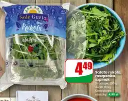 Dino Salata rukola roszponka szpinak oferta