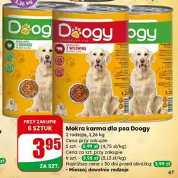 Dino Mokra karma dla psa Doogy oferta