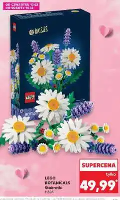 Kaufland LEGO BOTANICALS Stokrotki oferta