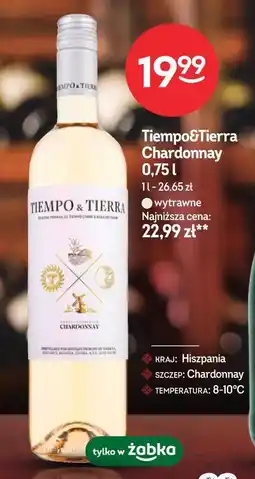 Żabka Tiempo&Tierra Chardonnay oferta