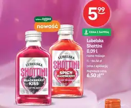 Żabka Lubelska Shottini 0,09 l (Blackberry Kiss, Spicy Raspberry) oferta
