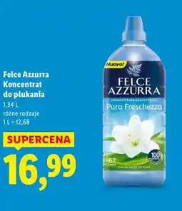 Lidl Felce Azzurra Koncentrat do płukania oferta