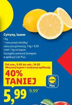 Lidl Cytryny, luzem oferta