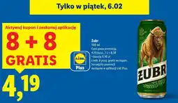 Lidl Żubr oferta