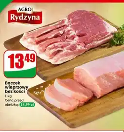 Dino Schab bez kości Rydzyna oferta
