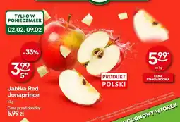 Żabka Szynka konserwowa Polish Ham Krakus oferta