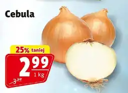 Prim Market Cebula oferta