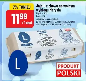 Jaja L z chowu na wolnym wybiegu