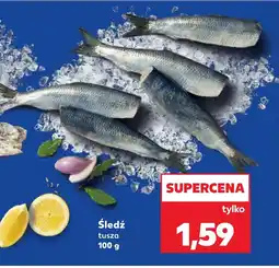 Kaufland Śledź oferta