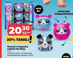 Netto Pluszak w kapsule Littlest Pet Shop oferta