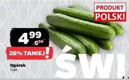 Netto Ogórek oferta