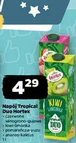 Netto Napój Tropical Duo Hortex oferta