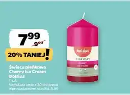 Netto Świeca pieńkowa Cherry Ice Cream Bolsius oferta