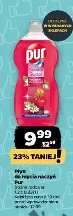 Netto Płyn do naczyń raspberry & red currant Pur Sekrety Świata oferta