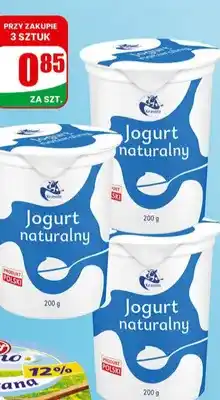 Dino Jogurt naturalny oferta
