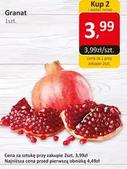 Market Point Granat 1szt oferta