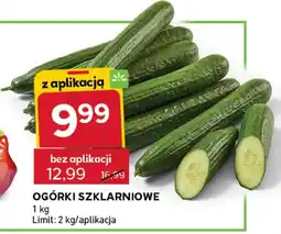 Stokrotka Ogórki szklarniowe oferta