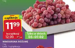 Stokrotka Winogrona różowe oferta