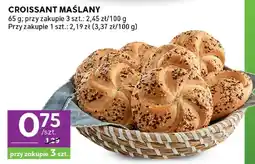 Stokrotka Kajzerka sięmię i sezam oferta