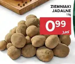 Stokrotka Ziemniaki jadalne oferta