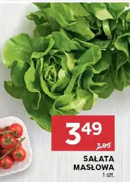 Stokrotka Pomidory cherry gałązka oferta