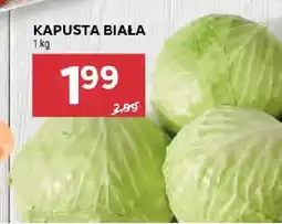 Stokrotka Kapusta biała oferta