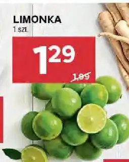 Stokrotka Limonka oferta