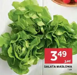 Stokrotka Sałata masłowa oferta