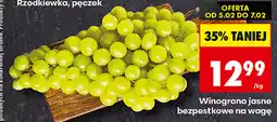 Biedronka Winogrono jasne bezpestkowe na wagę oferta