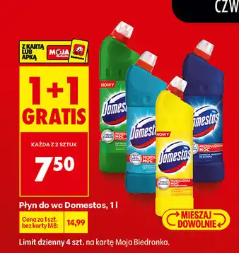 Biedronka Domestos oferta