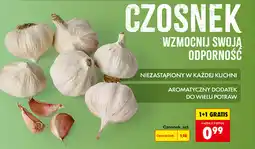 Biedronka Czosnek oferta