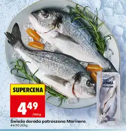 Biedronka Świeża dorada patroszona Marinero oferta
