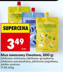 Biedronka Mus owocowy Owolovo oferta